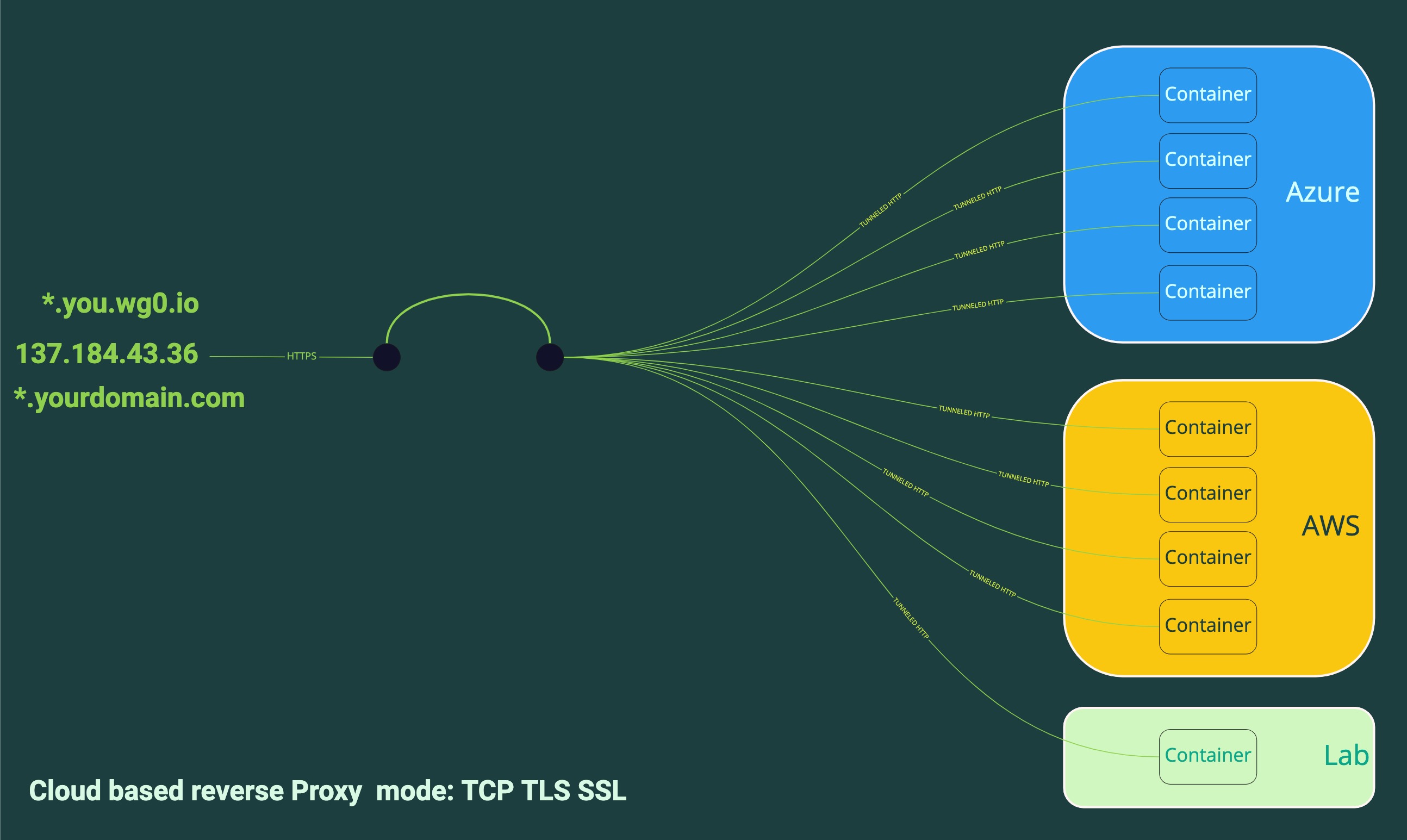 PROXY MODE - ONE PUBLIC IP - MULTIPLE PRIVATE IPs